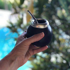 Gourd Yerba Mate Set